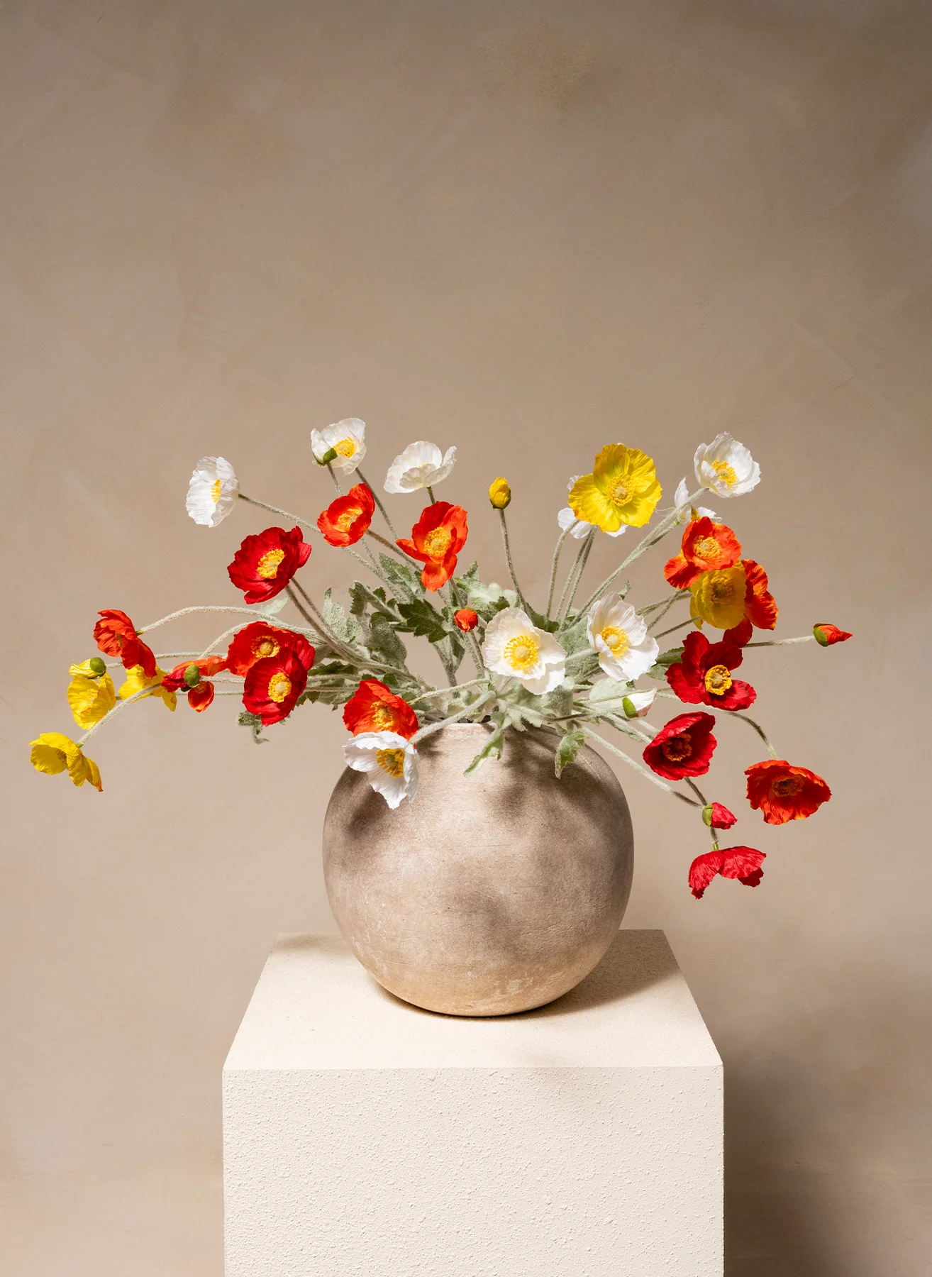 Miniatuur 1